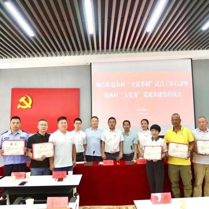福鼎首個村級“大黨委”在鎮西村建立運行