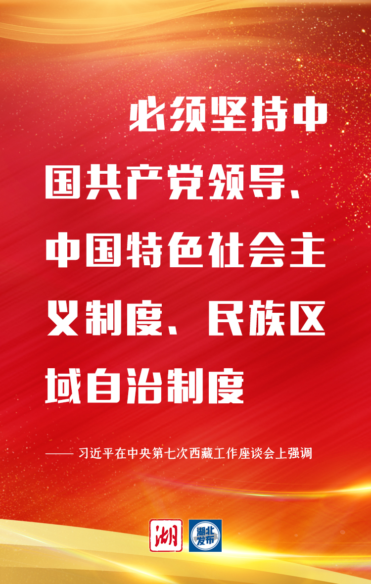 關于西藏，習近平最新強調10個“必須”