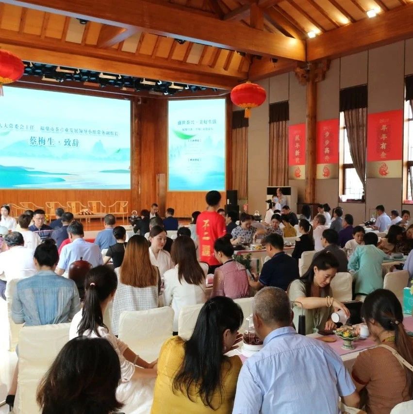 盛世茶興！福鼎白茶文化在中原的“融合”