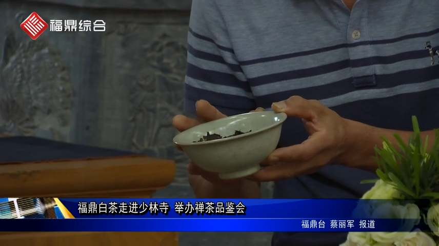 福鼎白茶走進少林寺 舉辦禪茶品鑒會