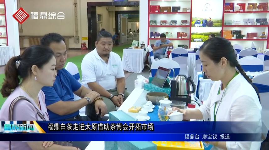 福鼎白茶走進太原借助茶博會開拓市場