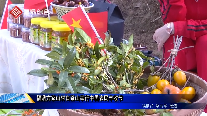 福鼎方家山村白茶山舉行中國農民豐收節
