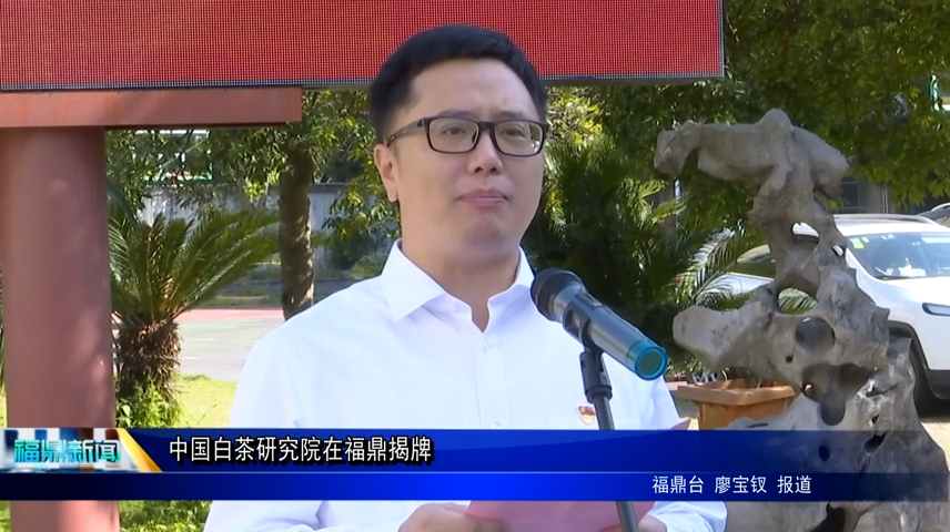 中國白茶研究院在福鼎揭牌