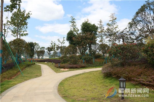 加快公園綠地建設 城市生態魅力從“美麗一隅”到“星羅棋布”