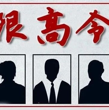 限高令丨這些人高消費受限制，不得購物、買房、旅游、度假……