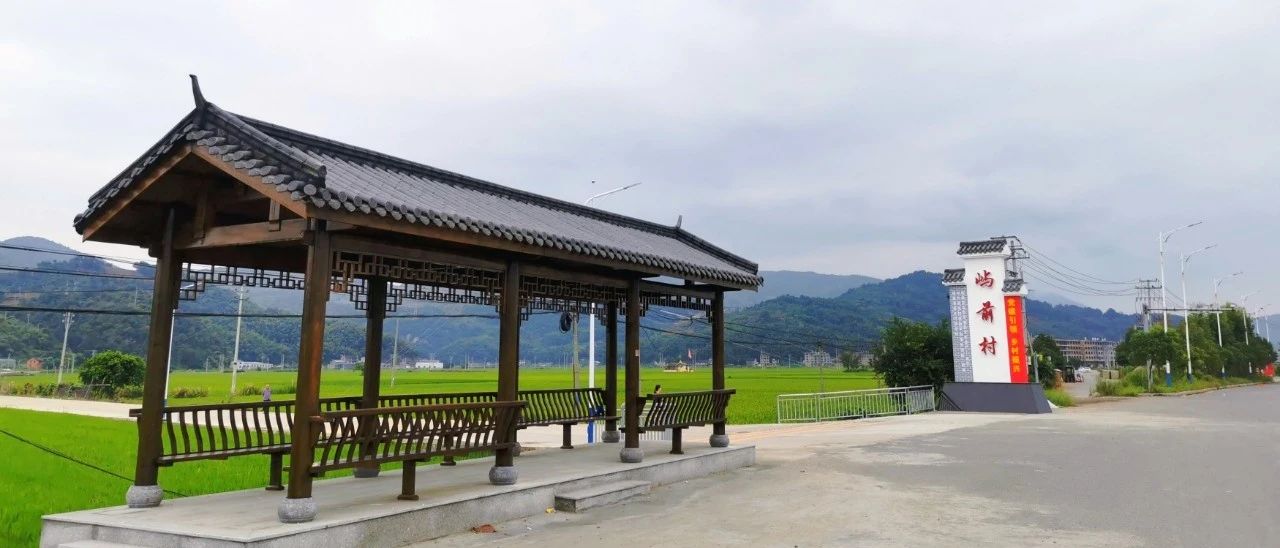 嶼前村闊步走出“水稻+”的鄉村振興新路