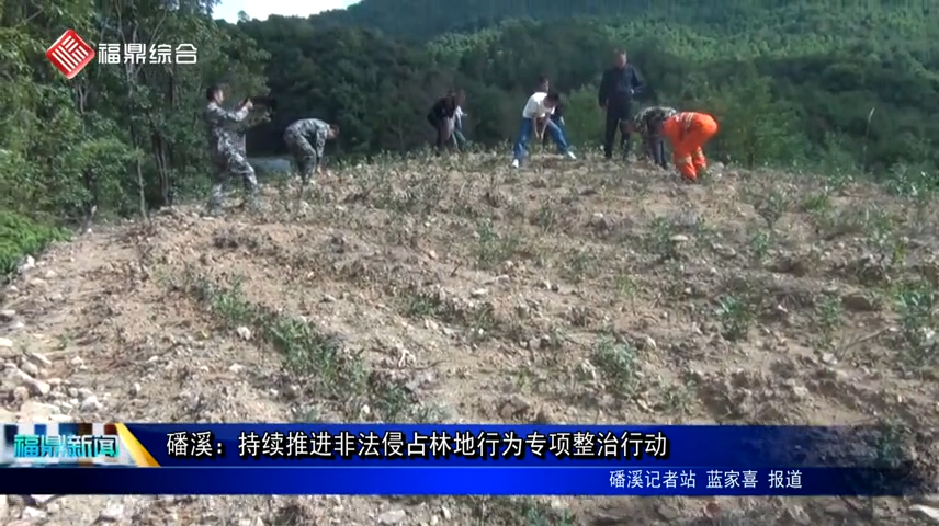 磻溪：持續推進非法侵占林地行為專項整治行動