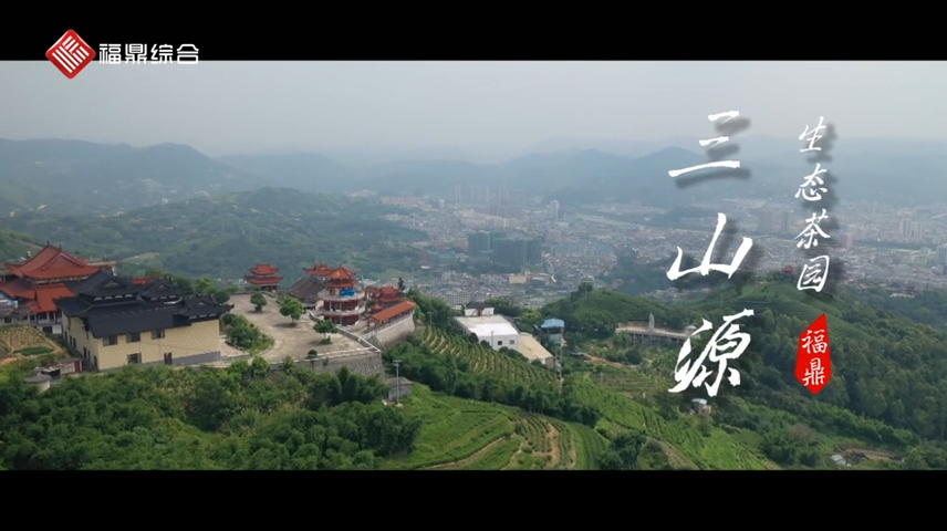 三山源生態茶園