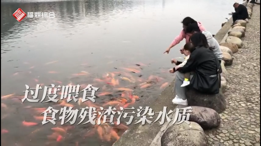 【曝光臺】-- 《保護水質 請適當喂食》