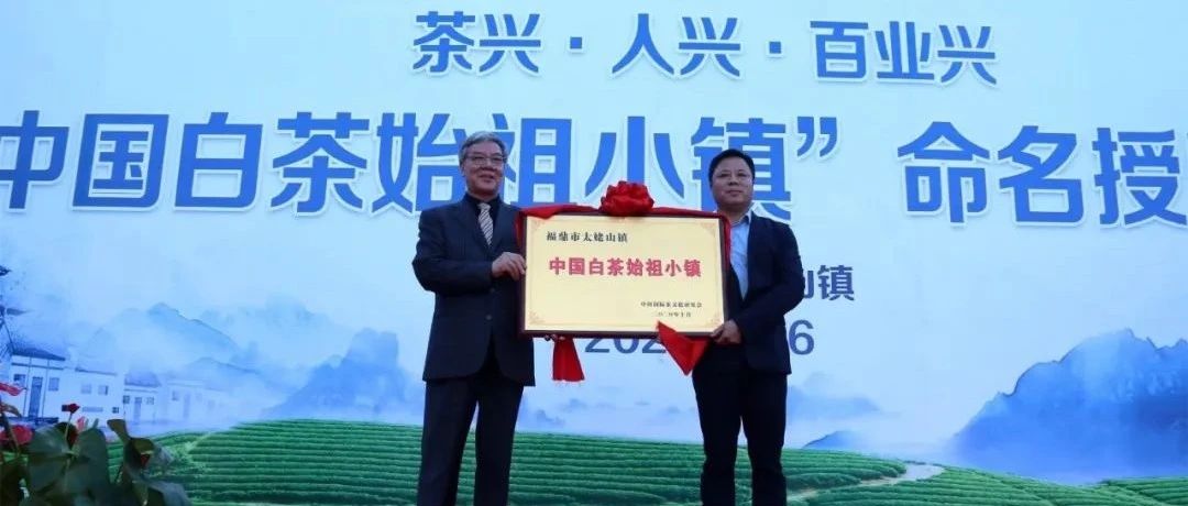 贊！太姥山鎮獲“中國白茶始祖小鎮”稱號