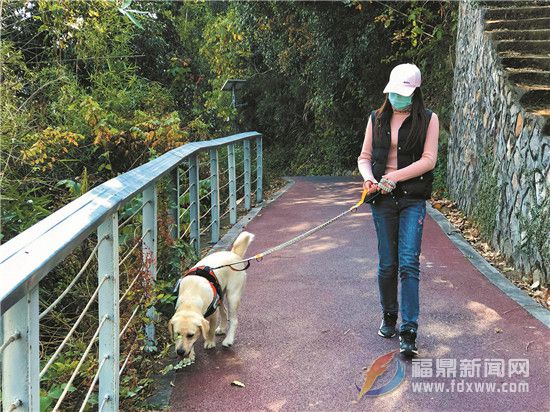 做文明養犬人 創文明衛生城