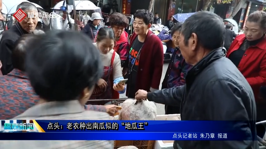 點頭：老農種出南瓜似的“地瓜王”