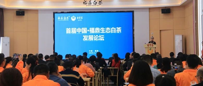 專家齊聚福鼎，為白茶生態茶園建設支招