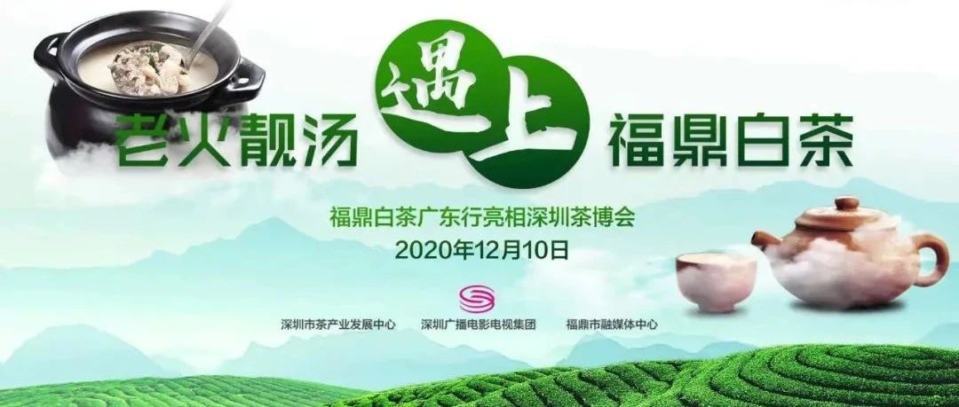 直播預告丨老火靚湯與福鼎白茶的一場“邂逅”……
