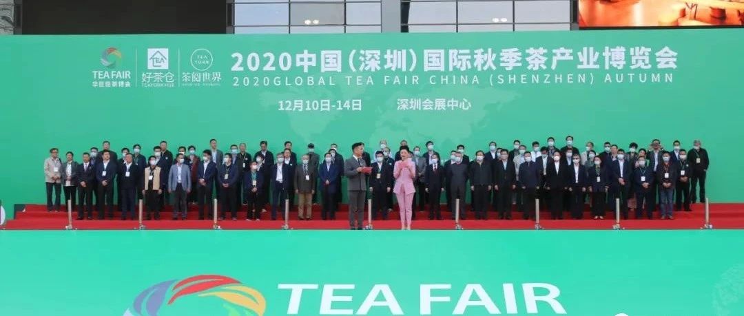 收官之展，福鼎白茶在深圳茶博會上站C位