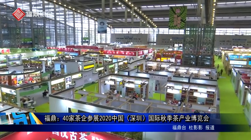 福鼎：40家茶企參展2020中國（深圳）國際秋季茶產業博覽會