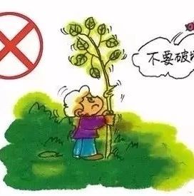 創衛，我們要對這些事說不！