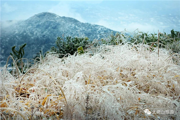 冬日的太姥山，帶你走進“水晶童話世界”