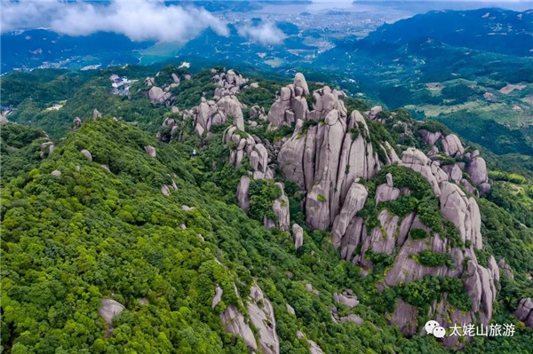 央視“尋根太姥山”，探秘福鼎白茶之源（附視頻）