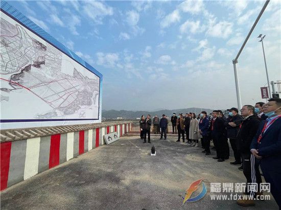 市政協委員開展集中視察