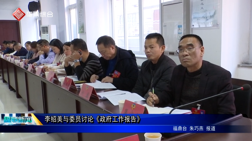 李紹美與委員討論《政府工作報告》