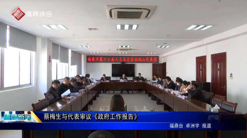 蔡梅生與代表審議《政府工作報告》