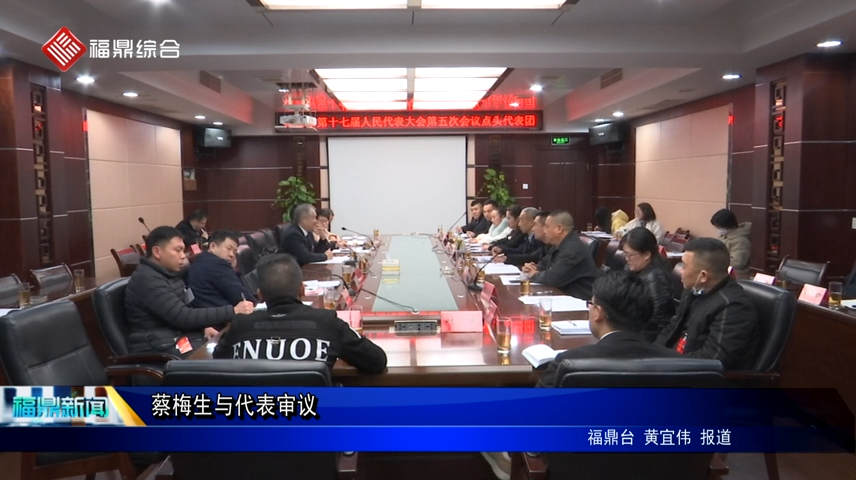 蔡梅生與代表審議