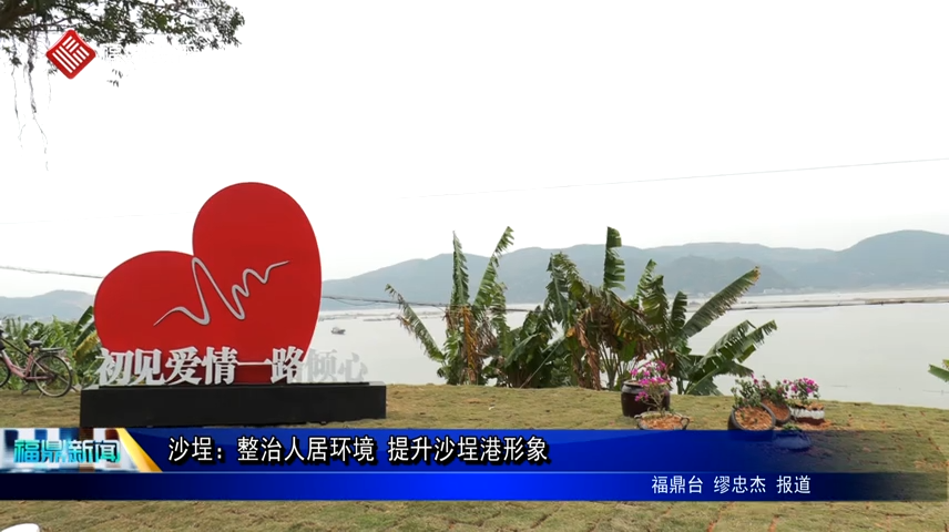 沙埕：整治人居環境 提升沙埕港形象