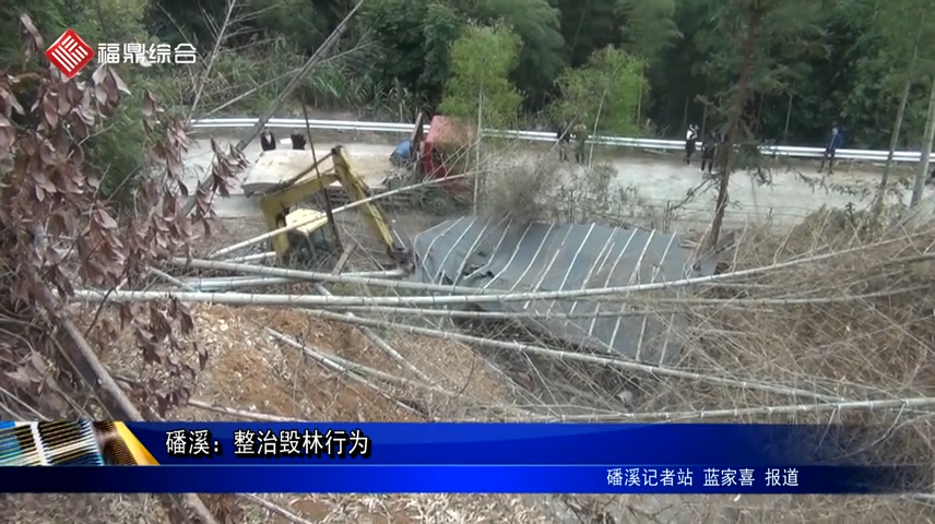 磻溪：開展毀林種茶和新建墳墓整治行動