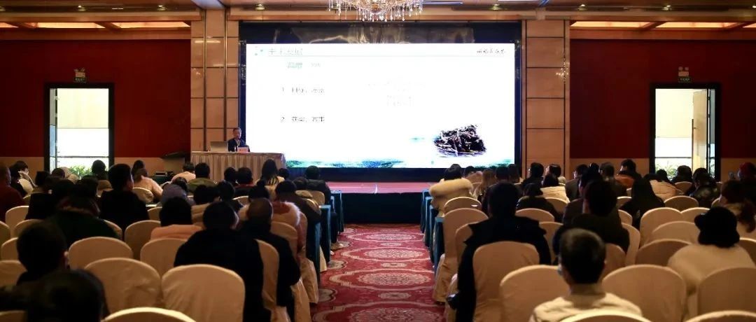 一場有關福鼎白茶品牌之路的講座，都說了啥？
