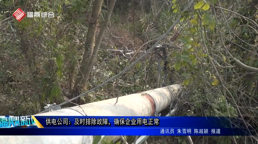 供電公司：及時排除故障，確保企業用電正常