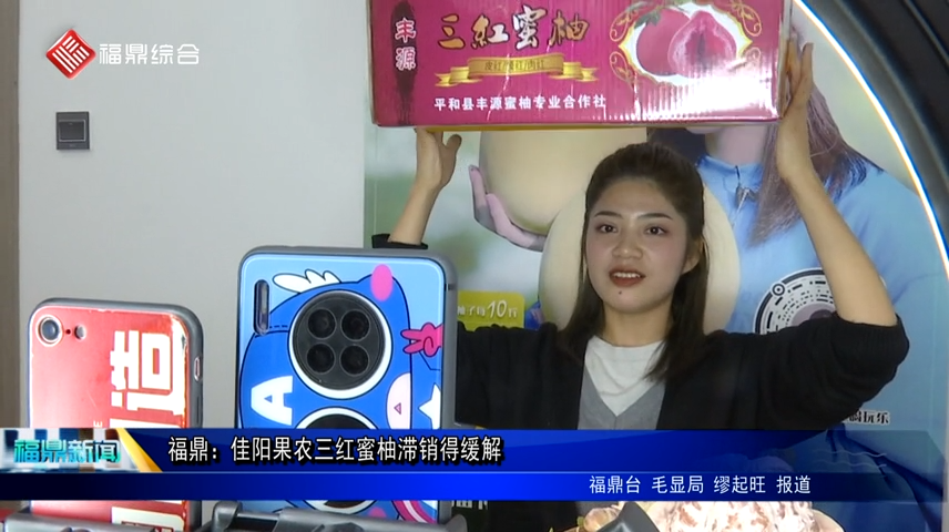 福鼎：佳陽果農三紅蜜柚滯銷得緩解