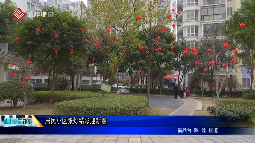【網絡中國節?春節】居民小區張燈結彩迎新春