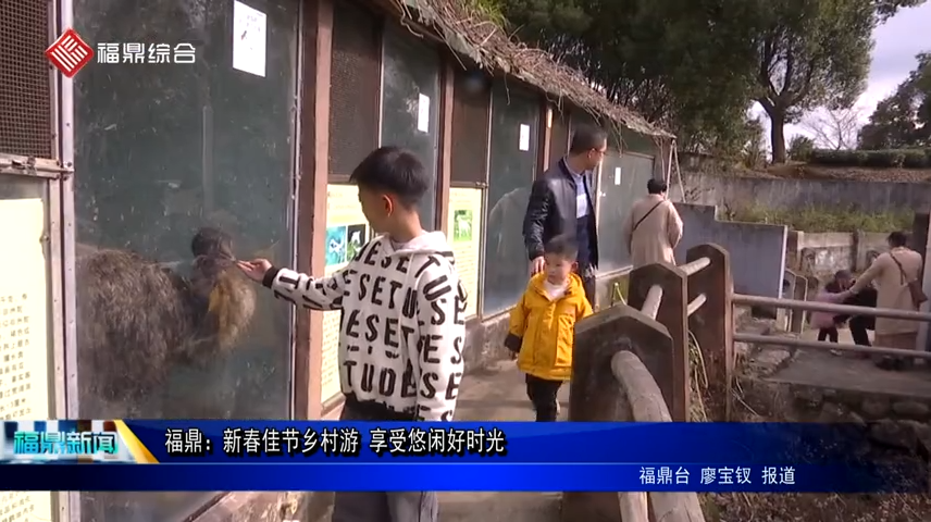 福鼎：新春佳節鄉村游 享受悠閑好時光