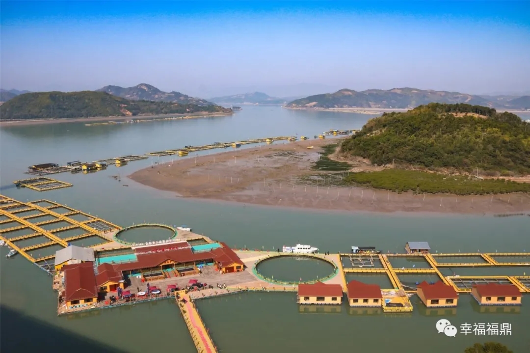 很火！佳陽“海上田園”成為新晉網紅打卡點