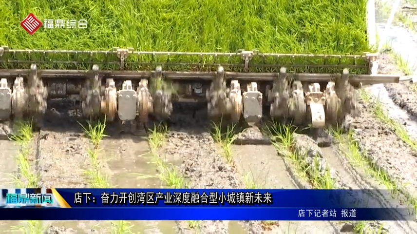 店下：奮力開創灣區產業深度融合型小城鎮新未來