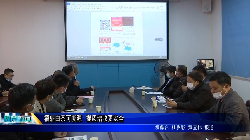 福鼎白茶可溯源  提質增收更安全