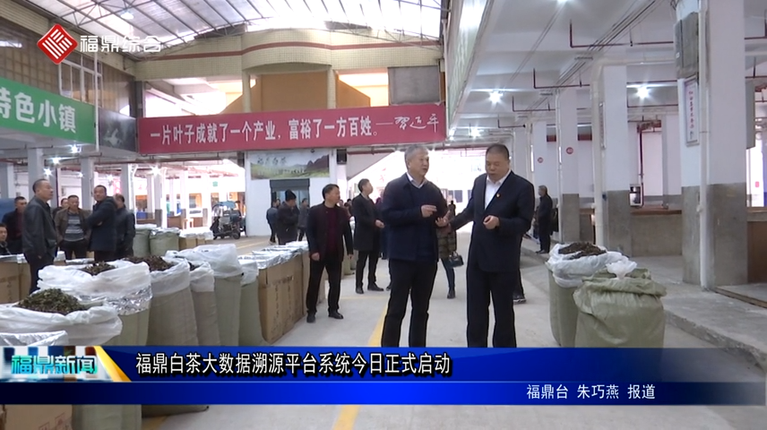 福鼎白茶大數據溯源平臺系統今日正式啟動