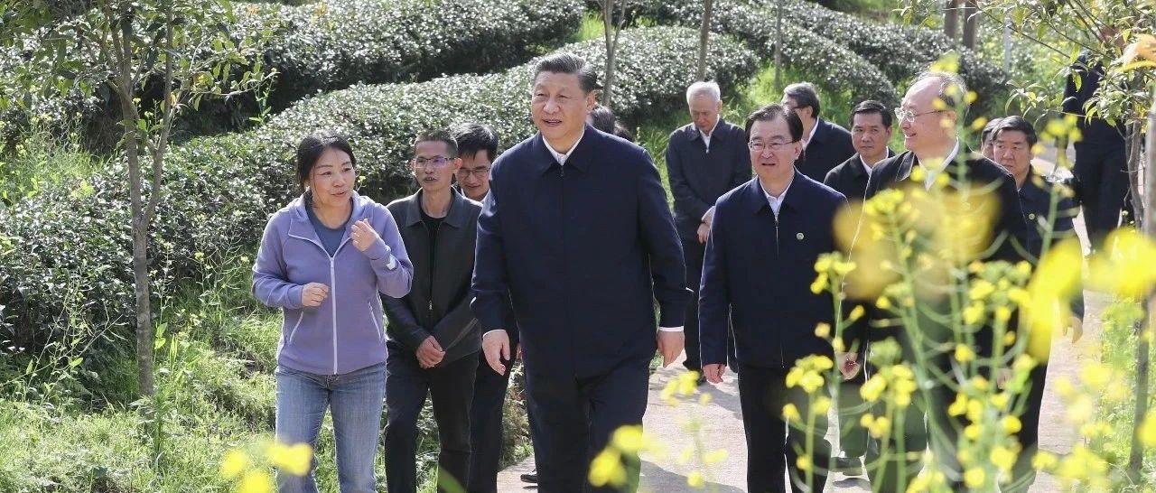 第一觀察 | 習近平福建行，第一站為何看山？（內附珍貴老照片）