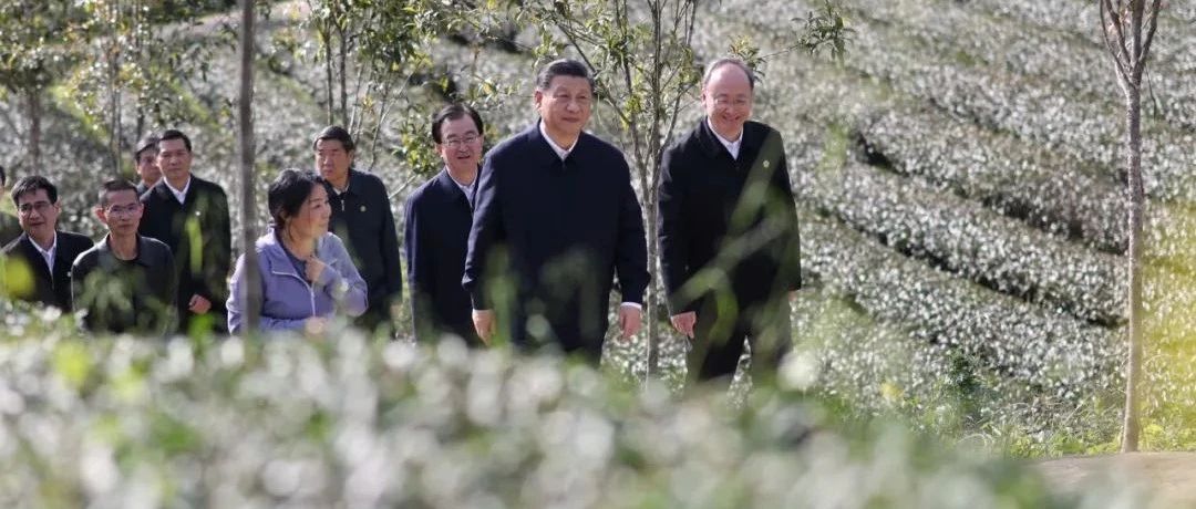 習近平：沒有中華五千年文明，哪有我們今天的成功道路