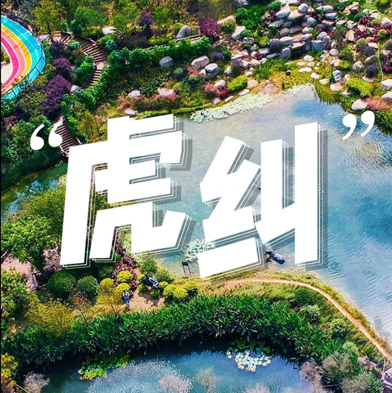 七溜八溜，不離“虎糾”！