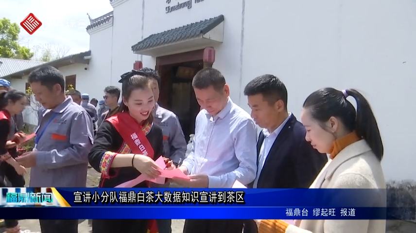 宣講小分隊福鼎白茶大數據知識宣講到茶區