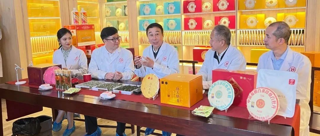 馮鞏化身首席“星推官”，推介福鼎白茶