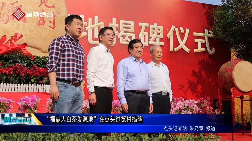 “福鼎大白茶發源地”在點頭過筧村揭碑