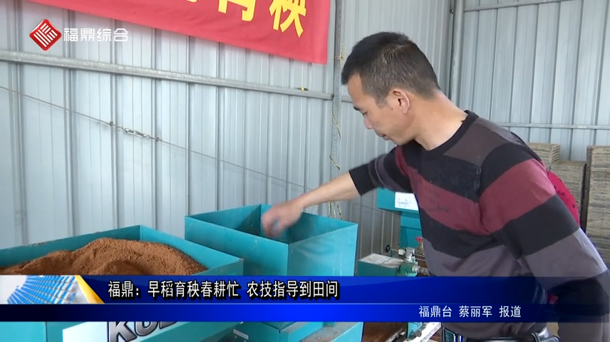 福鼎：早稻育秧春耕忙 農技指導到田間