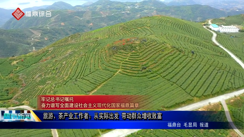 旅游、茶產業工作者：從實際出發 帶動群眾增收致富