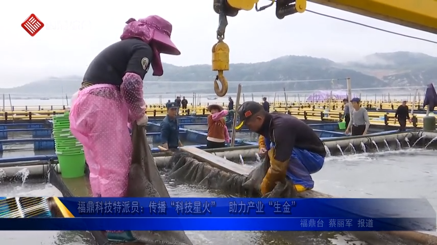 福鼎科技特派員：傳播“科技星火”  助力產業“生金