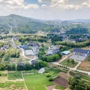 在西昆，赴一場儒茶之旅