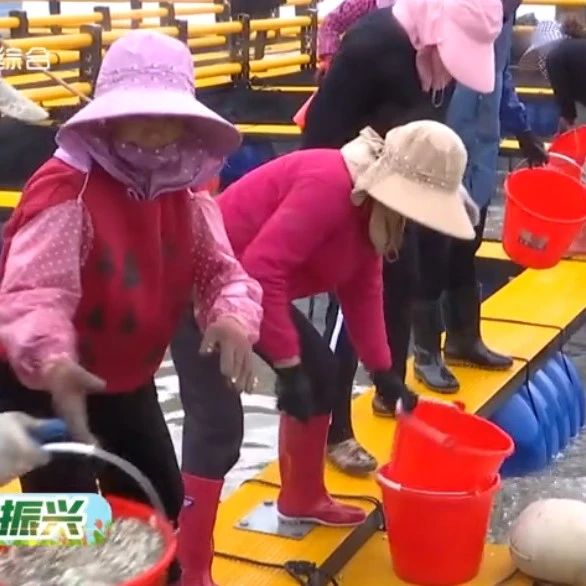 再學習 再調研 再落實丨科技特派員：傳播“科技星火”，助力產業“生金”