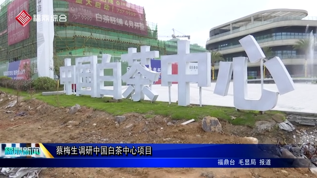 蔡梅生調研中國白茶中心項目